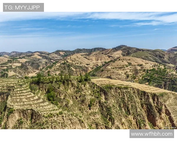 探索埃斯特旺的历史与文化魅力,揭示其独特的地理风貌与人文底蕴 探索埃斯特旺的历史与文化魅力,揭示其独特的地理风貌与人文底蕴