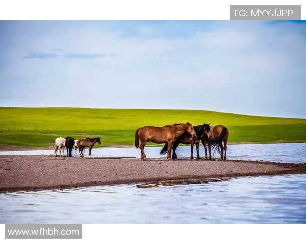 探索埃斯特旺的魅力与历史遗迹,感受独特文化与自然风光的完美融合 探索埃斯特旺的魅力与历史遗迹,感受独特文化与自然风光的完美融合