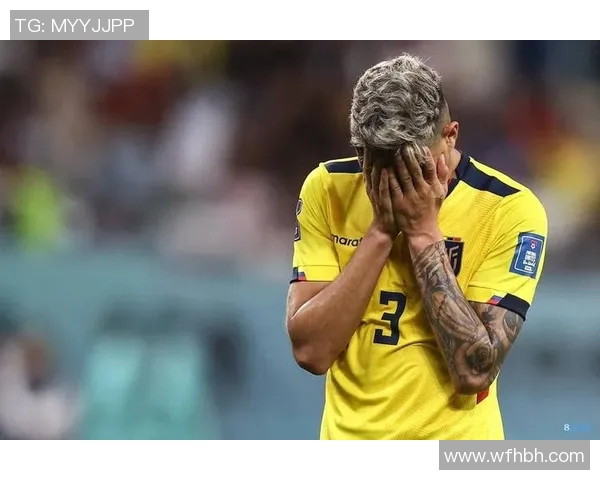 美国与厄瓜多尔友谊赛精彩回顾及赛后分析，球迷热情高涨