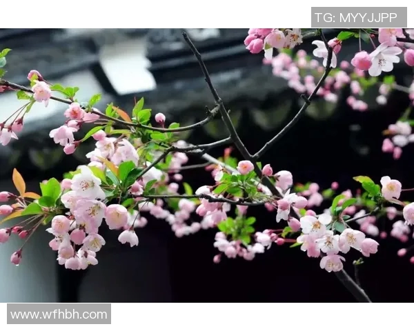 晚秋时节的诗意与智慧字谜汇总探秘